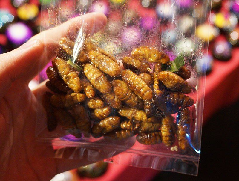 Mochilão a melhor coisa que já me aconteceu comer inseto