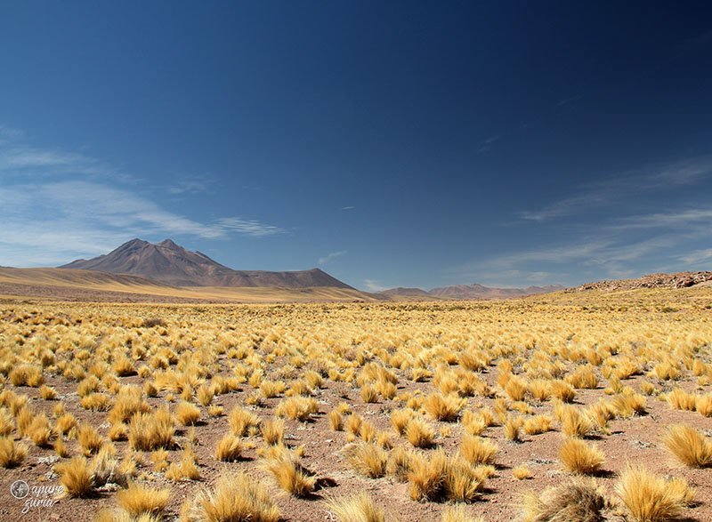 roteiro deserto do atacama lagunas altiplanicas
